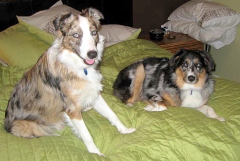 Samson and Ariel: Rita x Tucker - Winnipeg